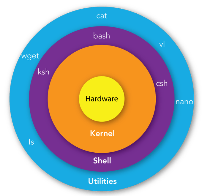 shell